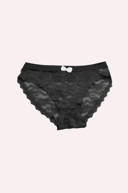 Celeste - Hipster style lace-trimmed briefs for women